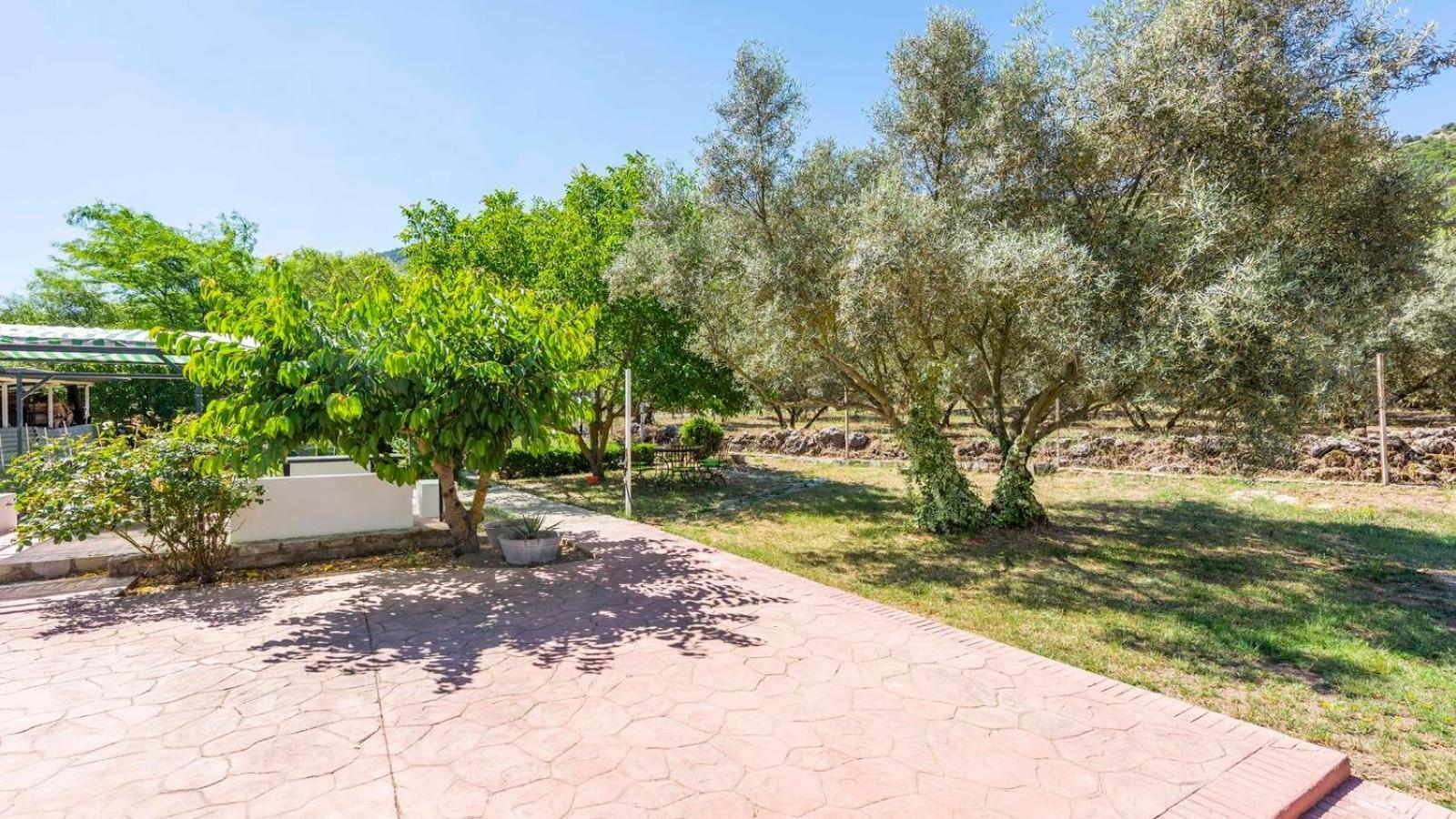 Casa Rural El Ciruelo Loco Alfarnate By Ruralidays Alfarnatejo Kültér fotó
