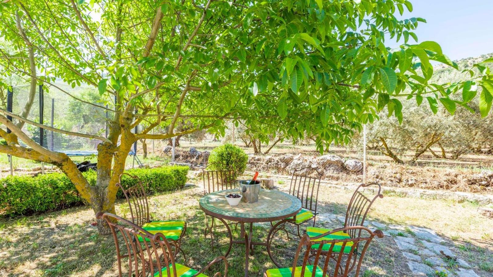 Casa Rural El Ciruelo Loco Alfarnate By Ruralidays Alfarnatejo Kültér fotó